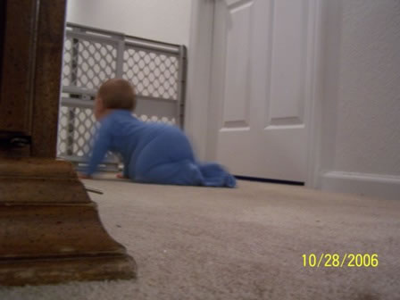 Picture 049 jpg (1)