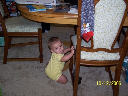 Picture 184 (1)