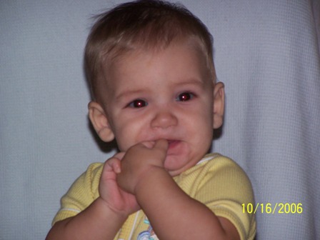 Picture 219 (1)
