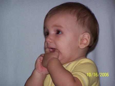 Picture 220 (1)