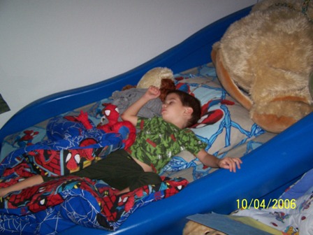 picture 0011