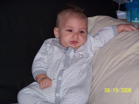 picture 062