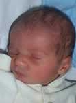 picture 06 jpg